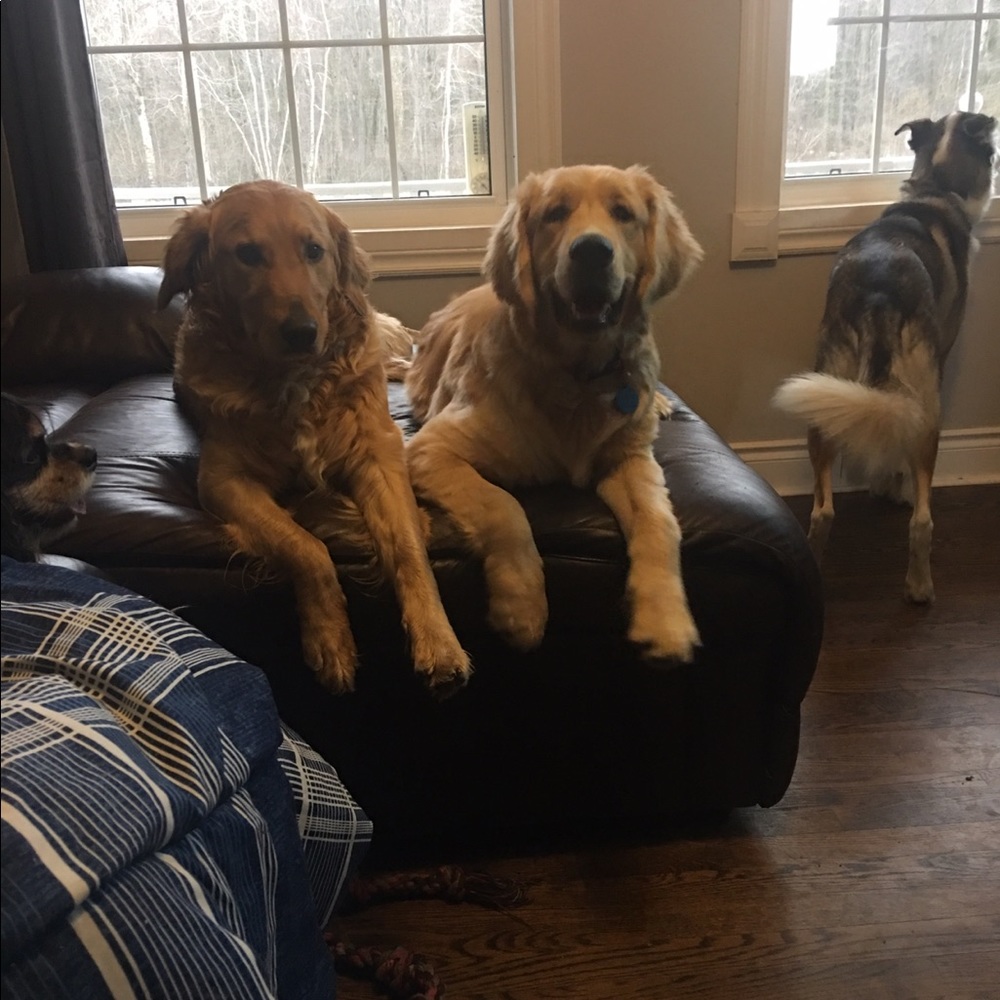 Meet your Posher, Carole